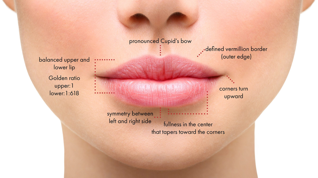 image of lower female face highlighting lip areas.