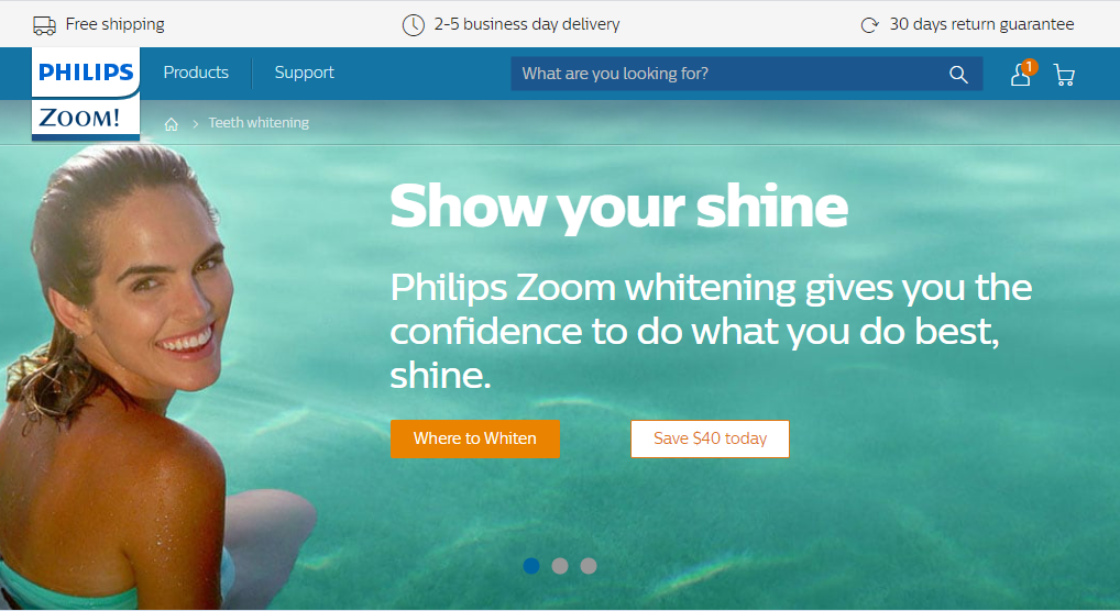 screen capture of Philips Zoom Rebate offer from their website